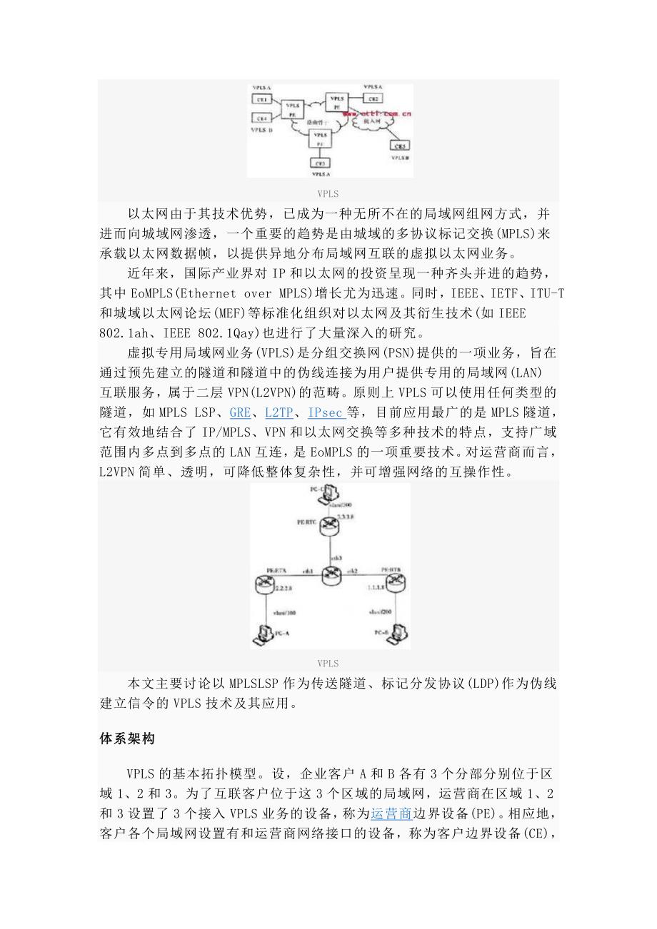 VPLS 虚拟专用局域网_第2页