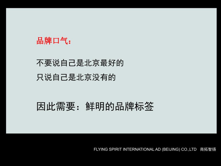 北京城理项目策略推广方案_第4页