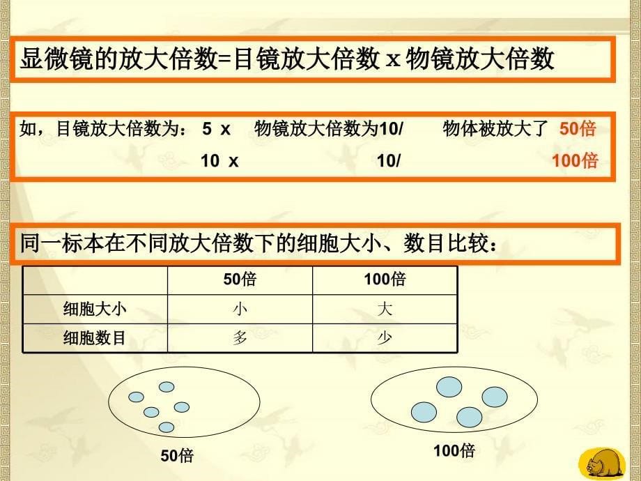 显微镜使用40897_第5页