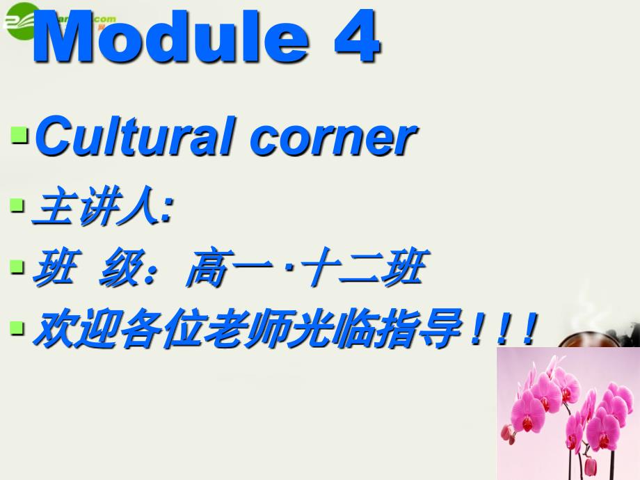 高中英语 Book2 Module4 cultural corner课件 外研版必修2_第2页