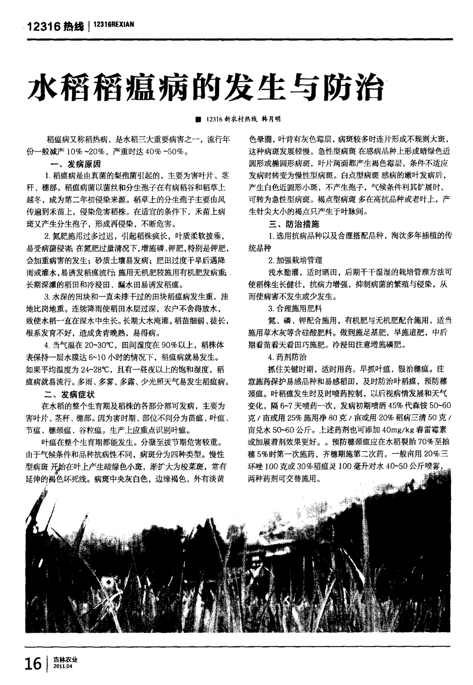 水稻稻瘟病发生与防治_第1页