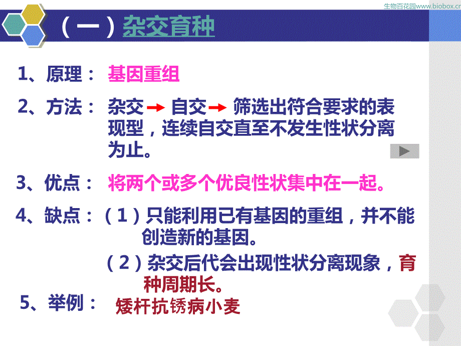 生物百花园一轮复习课件 必修2-6从杂交育种到基因工程（2015）_第3页