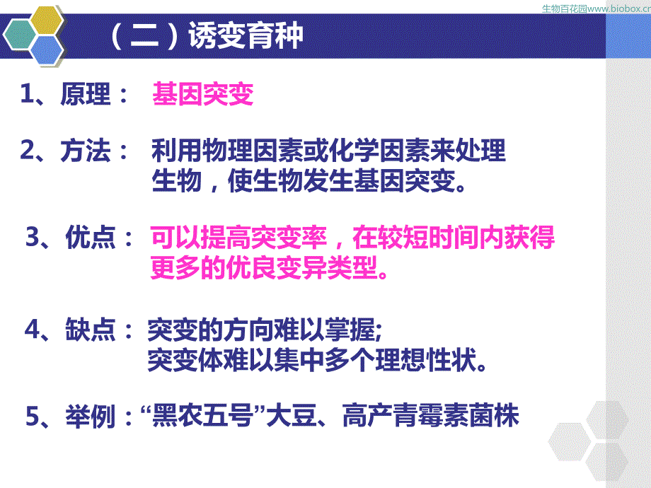 生物百花园一轮复习课件 必修2-6从杂交育种到基因工程（2015）_第4页