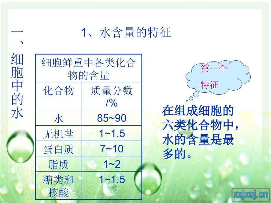 水和无机盐16850_第5页