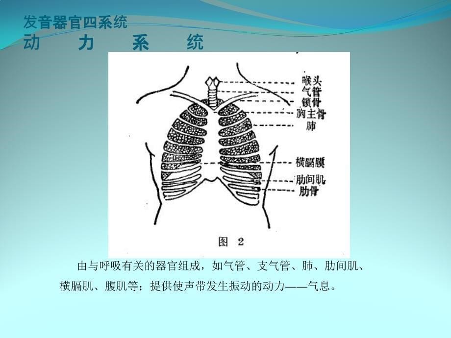 教师用声-吴郁 (1)_第5页