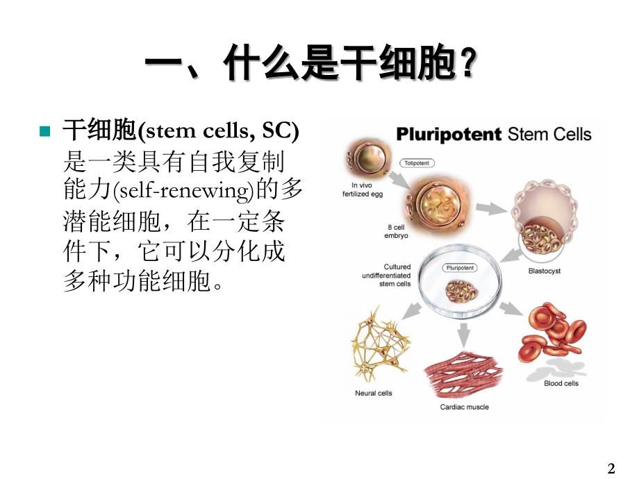 胡庆澧 Hu干细胞研究和临床试验和应用的伦理规范Rev5_第2页