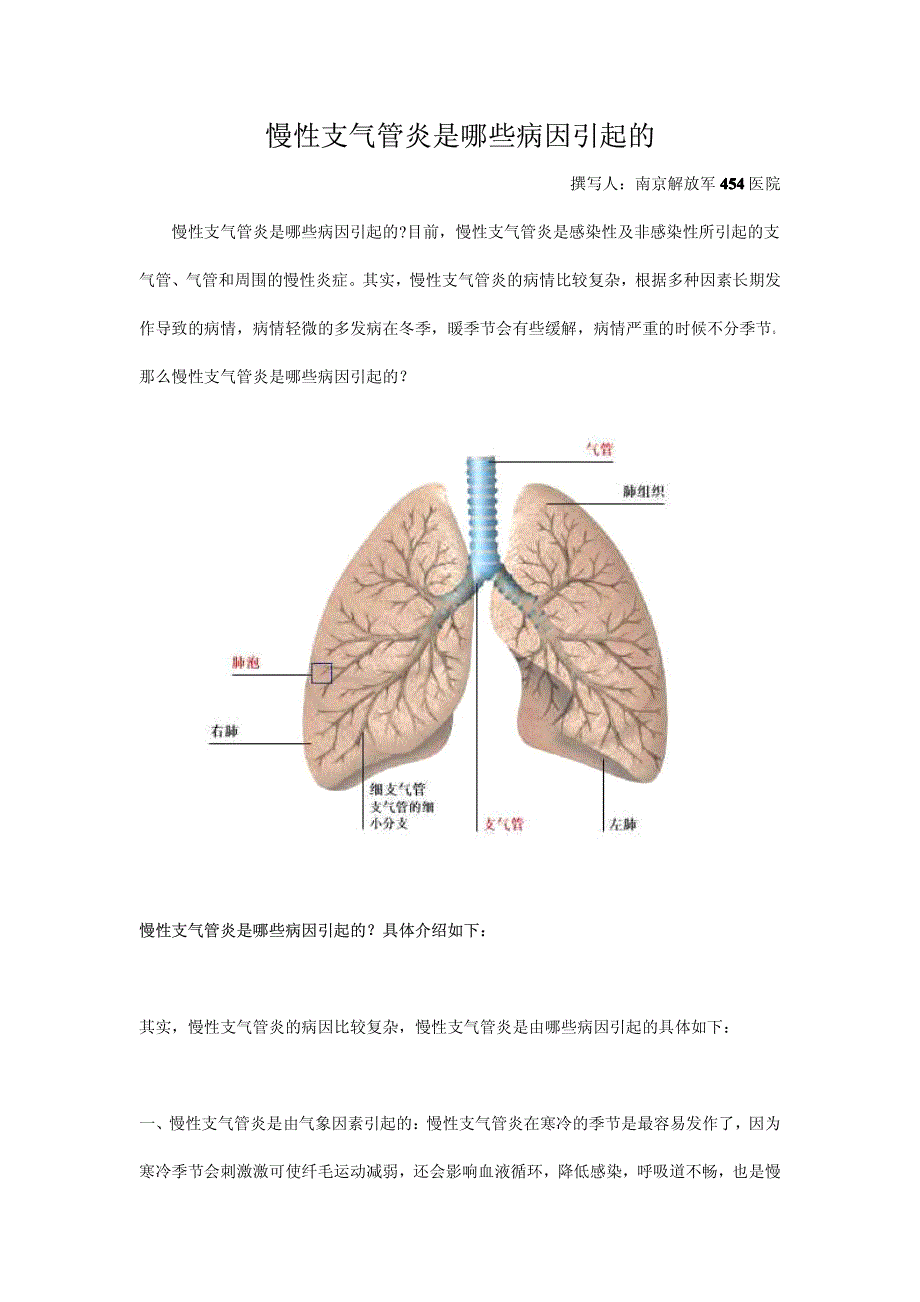 慢性支气管炎是哪些病因引起_第1页