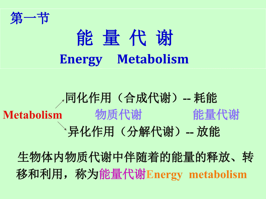 (国家精品课程生理学)能量代谢和体温_第2页