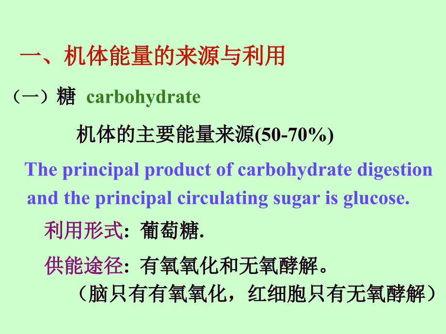 (国家精品课程生理学)能量代谢和体温_第4页