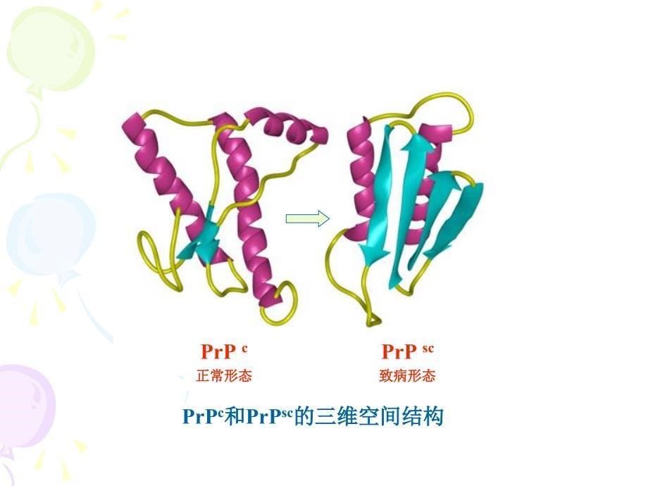 医学微生物学 第35章 朊粒_第5页