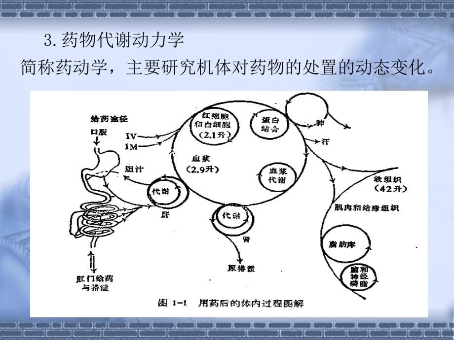 5药物与中间体_第5页