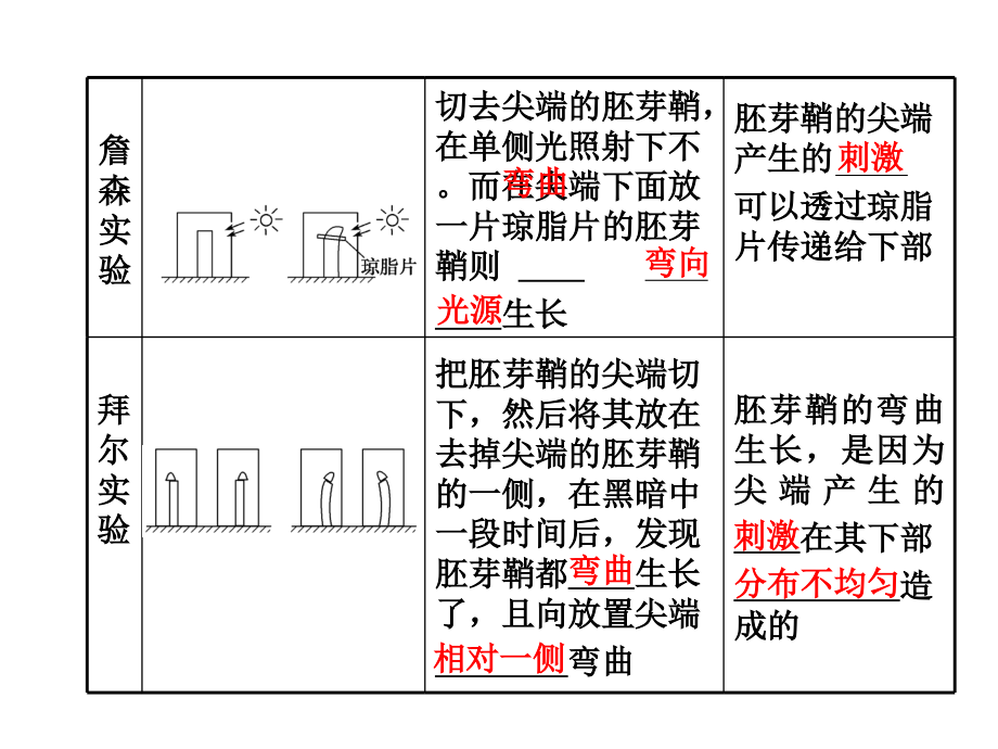 人教版教学教案云南省弥勒县庆来中学2011-2012学年生物必修3 第33课 植物的激素调节(课件)_第2页