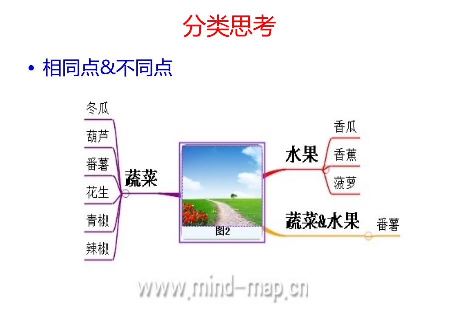 心智图在职场中的应用-职场必修课：基本思考原则_第4页