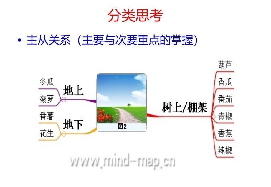 心智图在职场中的应用-职场必修课：基本思考原则_第5页