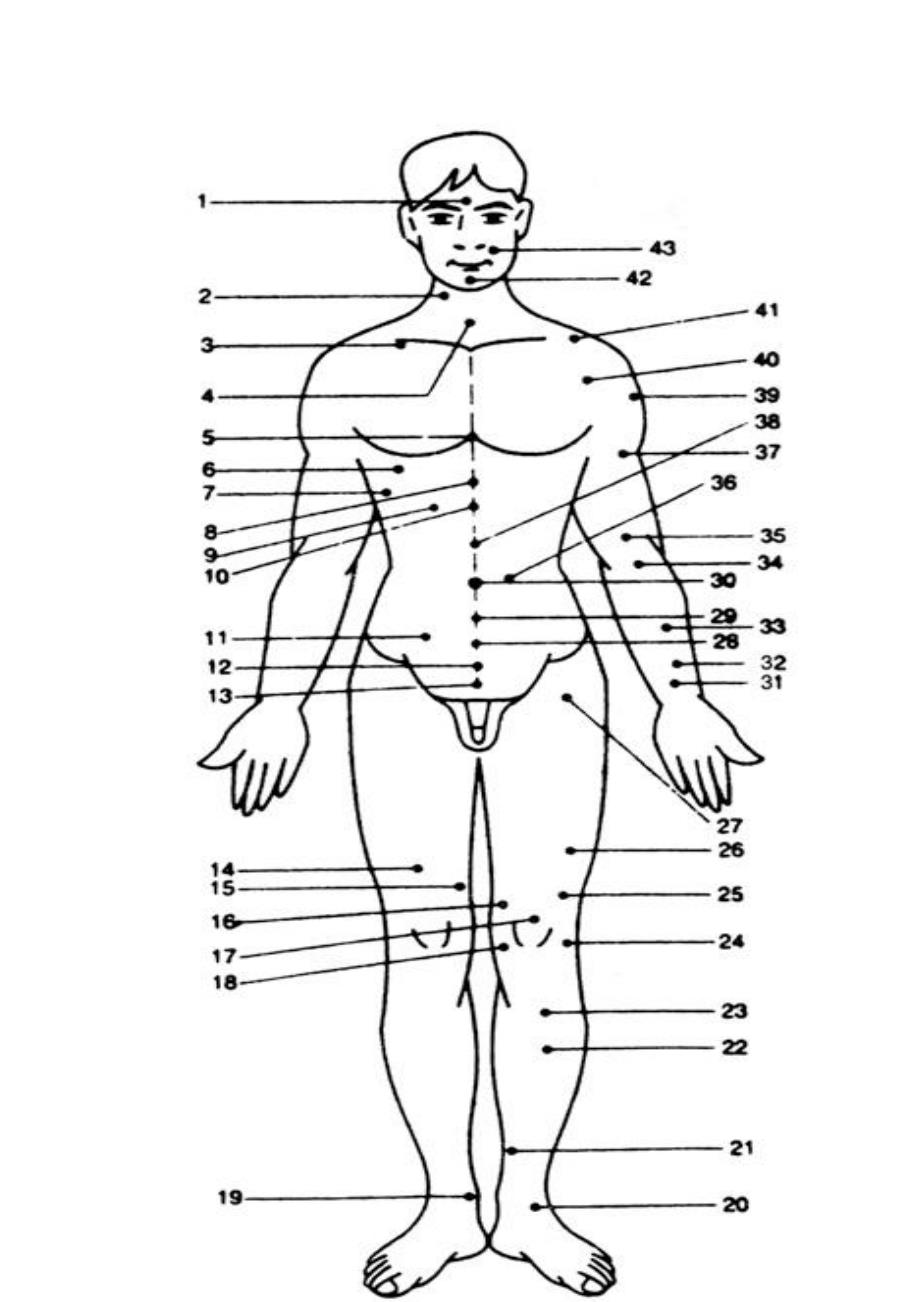 中医疗法主病症和选穴_第2页