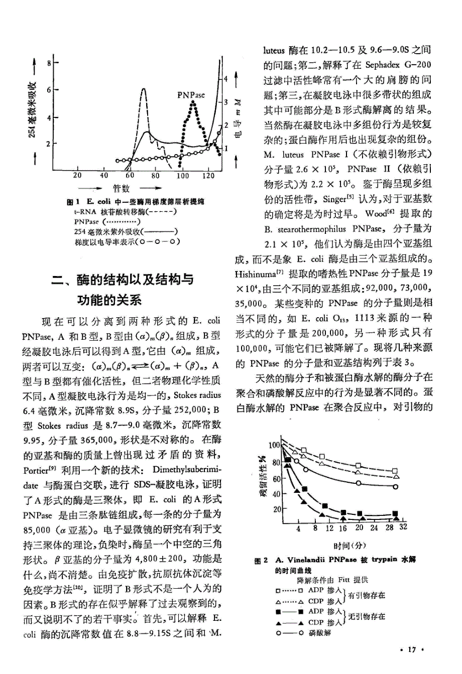 多核苷酸磷酸化酶及其应用(上)_第3页