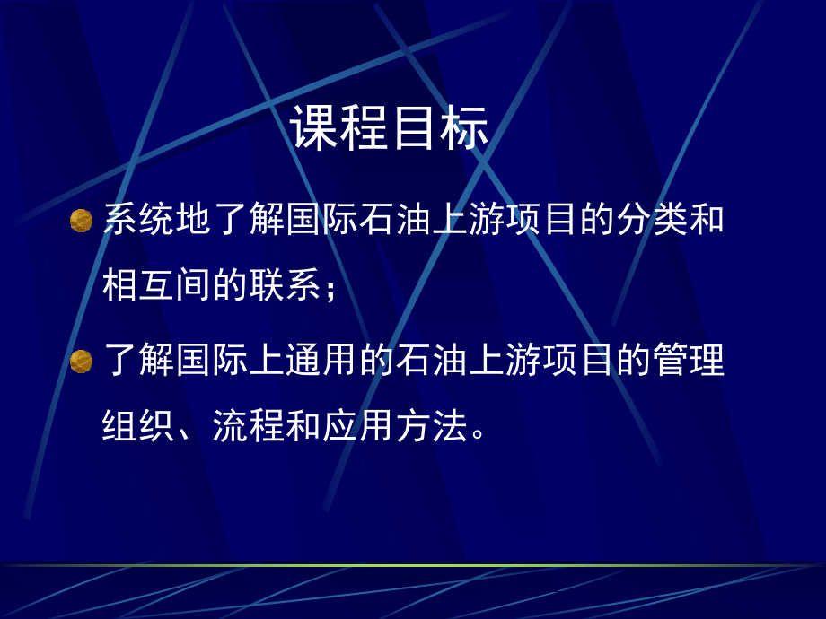 【精品文档】国际石油上游项目管理 - UPSTREAM PROJECT MANAGEMENT_第2页