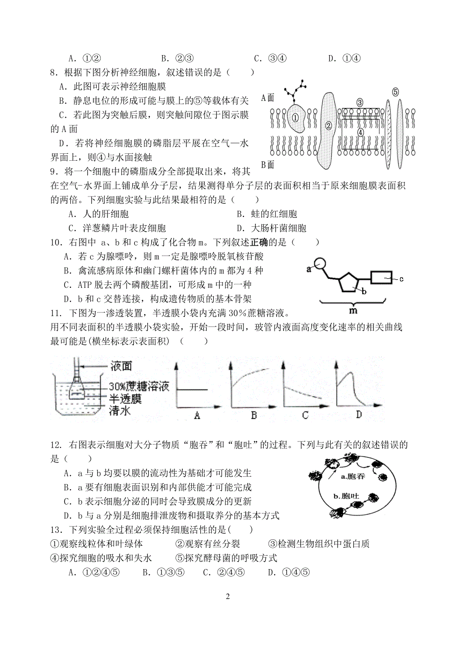 孝感高中2013届高三生物测验(1)_第2页