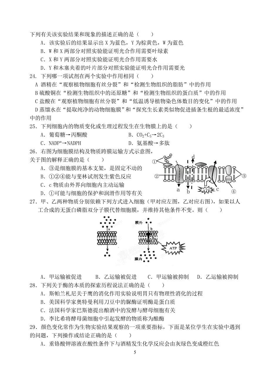 孝感高中2013届高三生物测验(1)_第5页