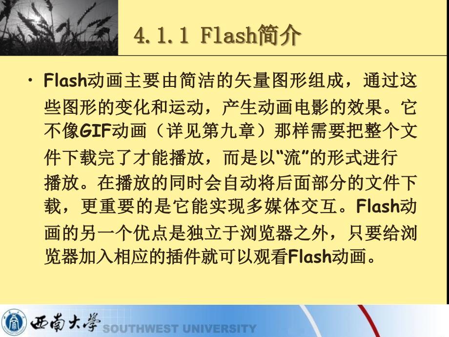 实用工具软件flash_第4页