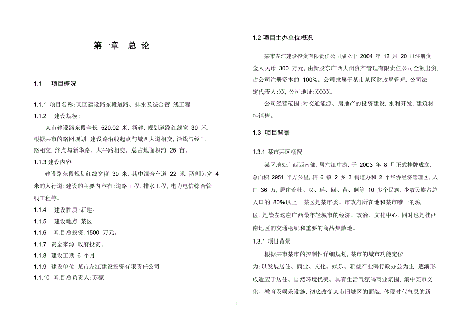 排水、道路管网基础设施可行性研究报告_第1页