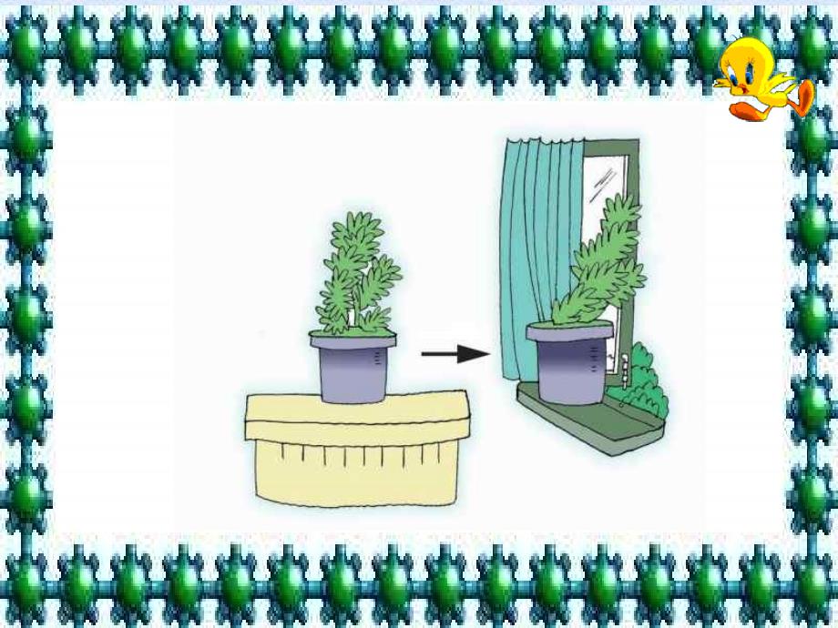 生物的多样性  (浙教版)_第4页