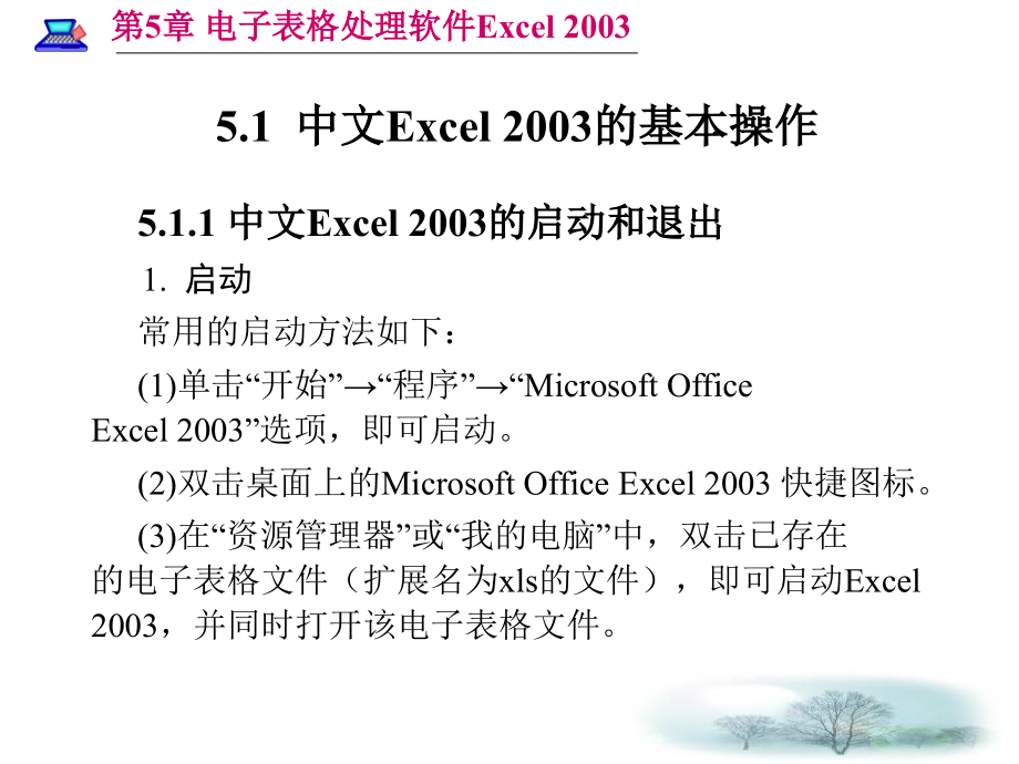 电子表格处理软件Excel_第2页