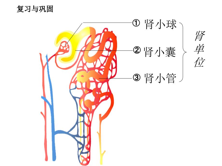 定陶县实验中学许巧兰_第3页