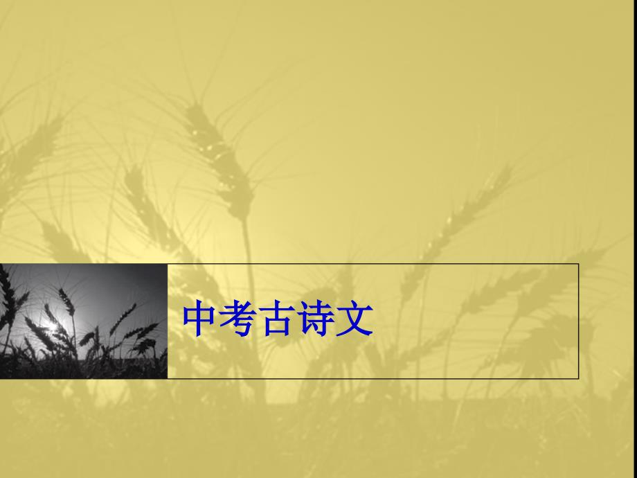 中考古诗文--复习指导_第1页