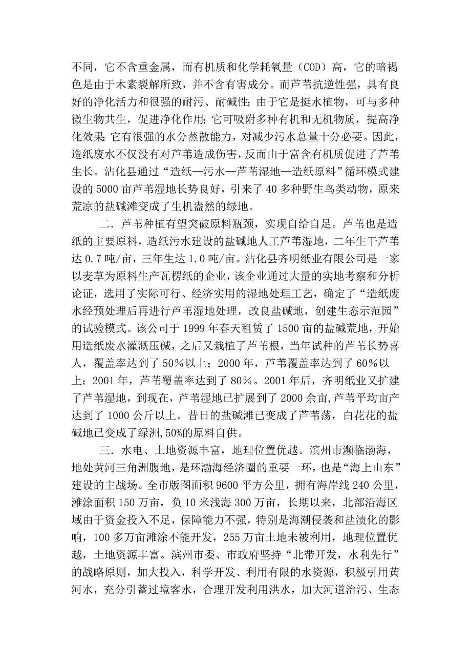 造纸工业现况与滨州“北带”开发战略_第5页