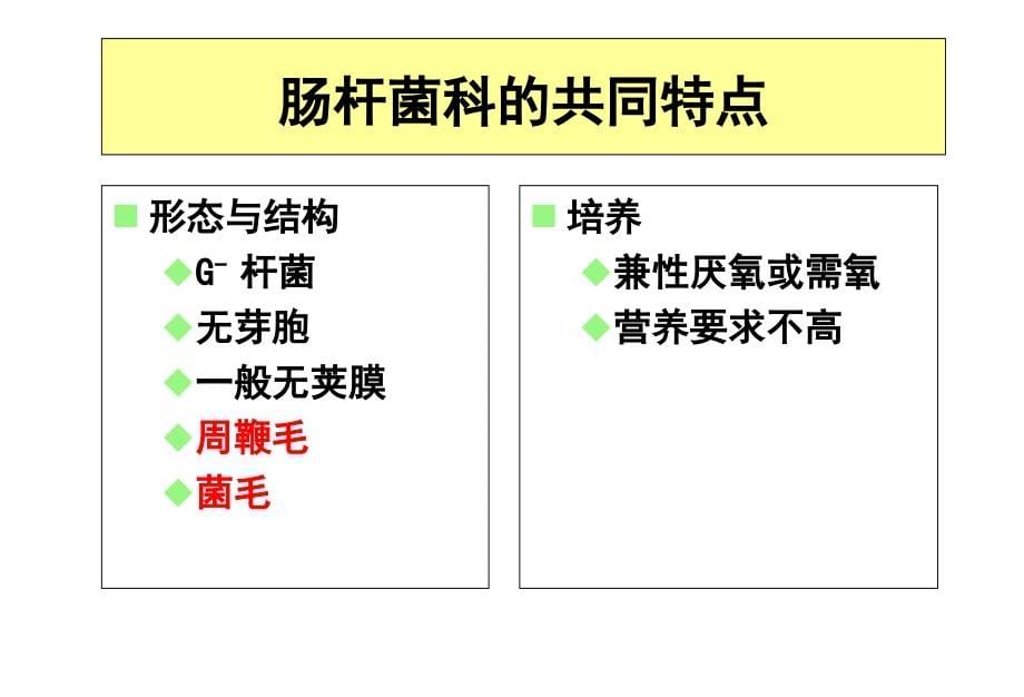 肠杆菌科 最新医学PPT_第5页