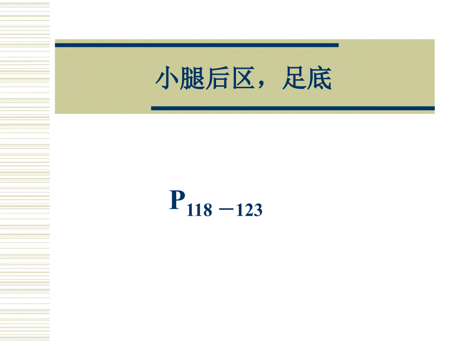 5小腿后区,足底_第1页