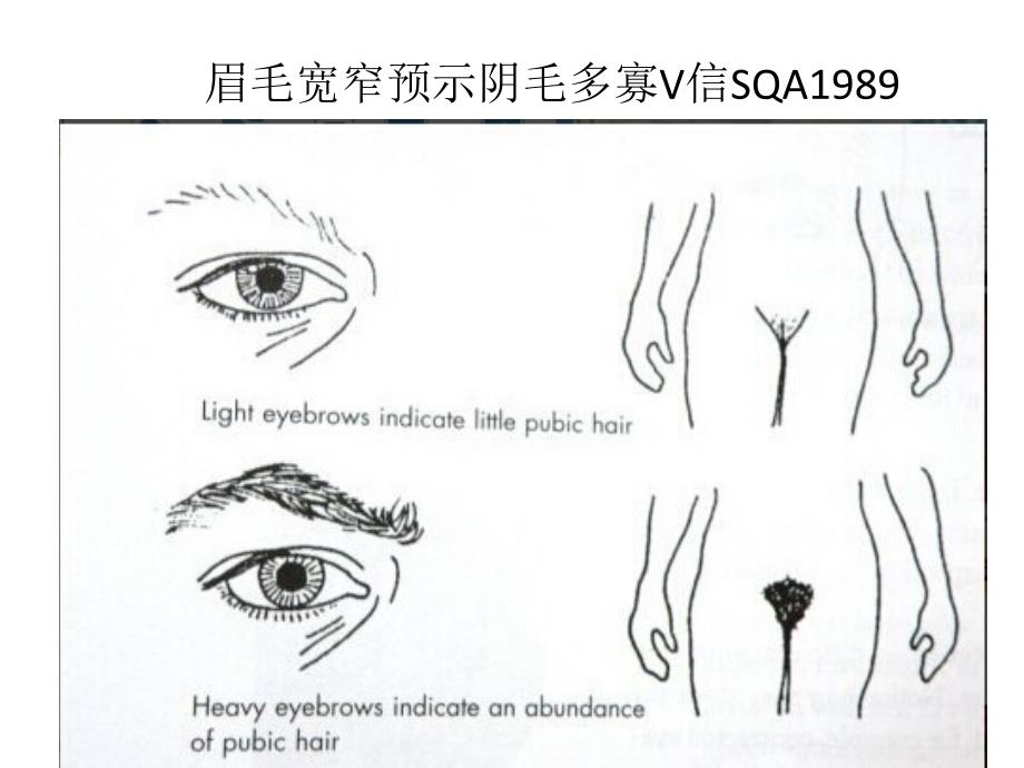 从眉毛看出阴茎大小_第1页