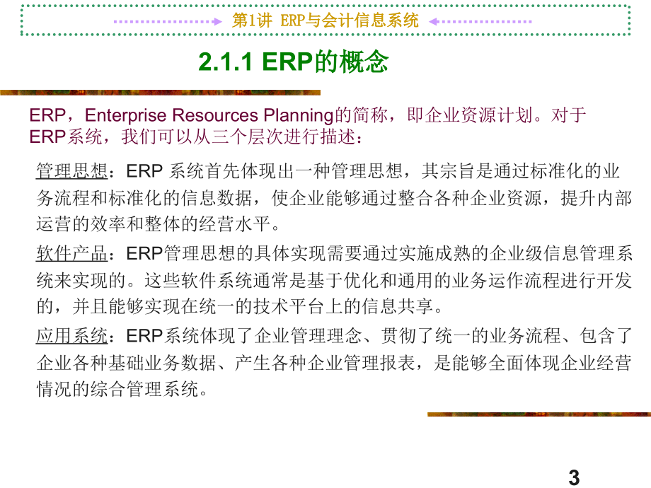 erp与会计信息系统_第3页