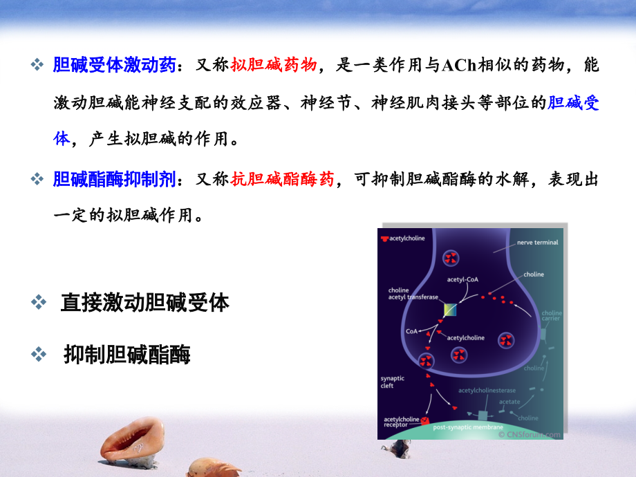 第6-7章_胆碱受体激动药和作用于胆碱酯酶药 南阳师范学院药理学ppt课件_第2页