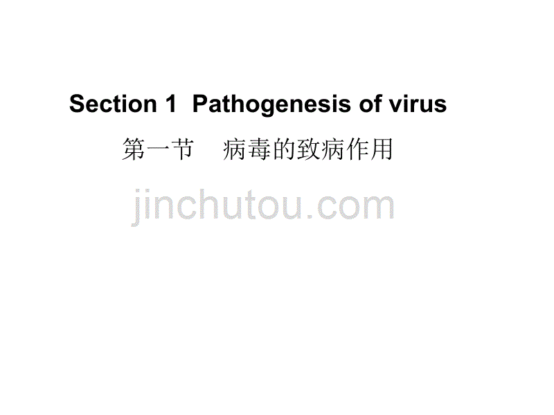 医学微生物学课件第24章 病毒的感染与免疫_第2页