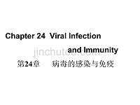 医学微生物学课件第24章 病毒的感染与免疫