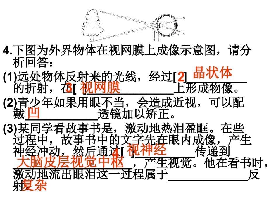 体内物质运输和生命活动的调节_第5页