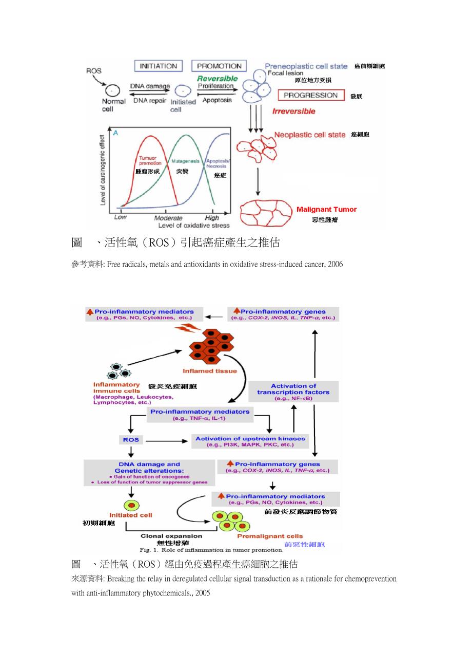 茶多酚与癌症之关系_第4页