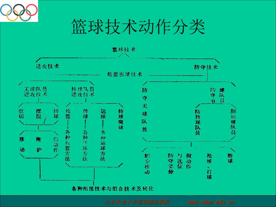 篮球基本技战术(刘伟)_第4页