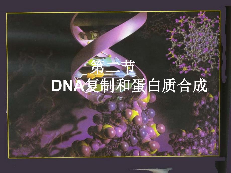 DNA的复制和蛋白质的合成_第2页