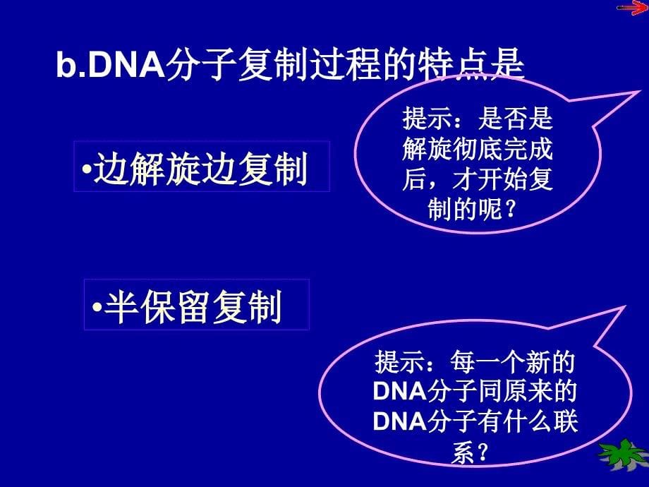 DNA的复制和蛋白质的合成_第5页