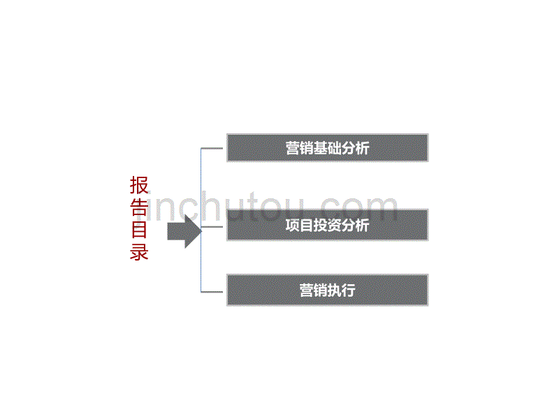 桤木河生态旅游文化养生度假区项目市场分析及营销推广执行案(ppt)_第2页