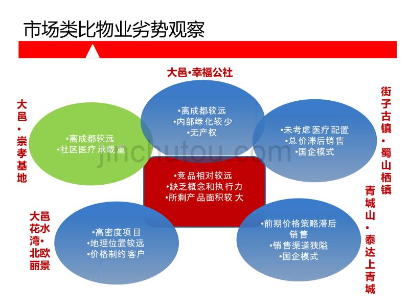 桤木河生态旅游文化养生度假区项目市场分析及营销推广执行案(ppt)_第5页