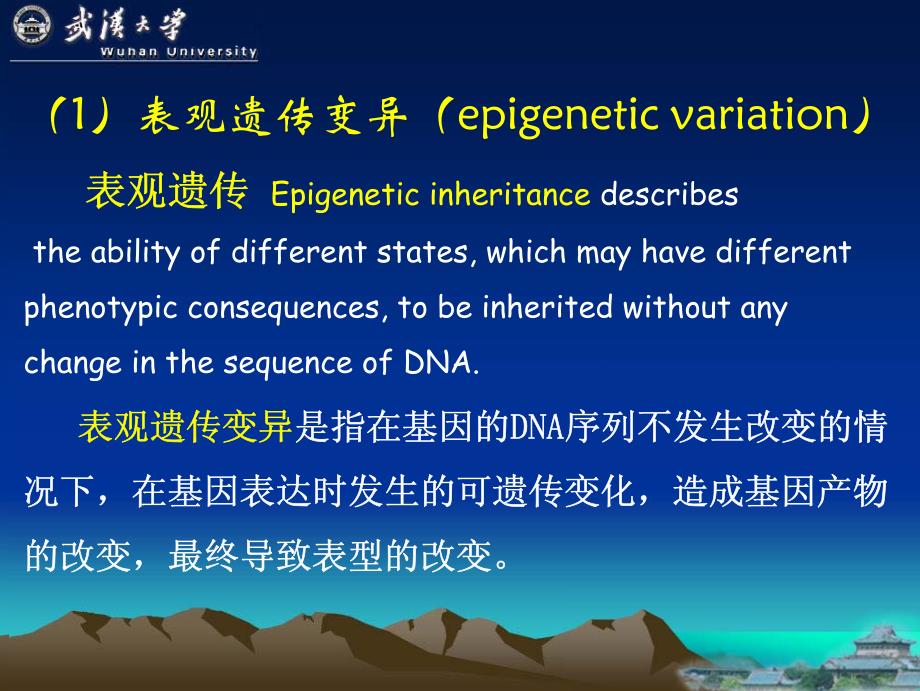 表观遗传学(epigenetics)_第3页