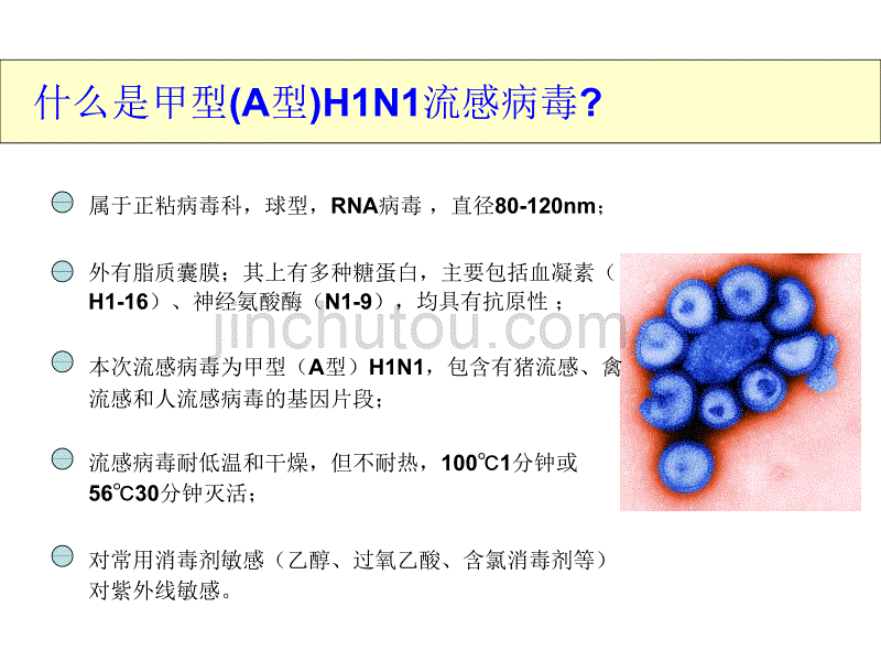 甲型（H1N1）流感院感控制---认识新型流感 搞好科学防控_第5页
