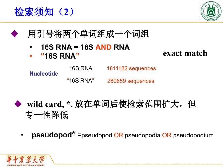 华农生物信息学课件_3_第5页