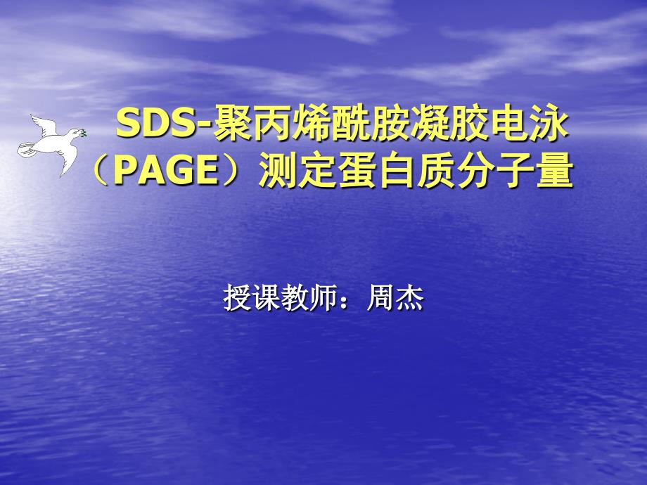 sds-page教程_第1页