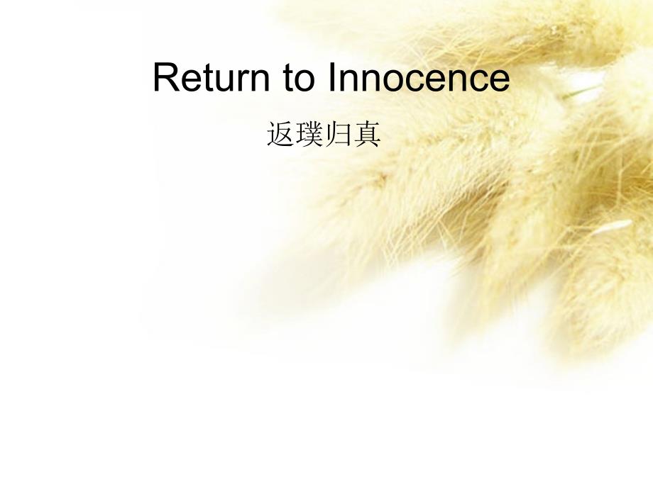 英格玛Return to Innocence（返璞归真）赏析_第1页