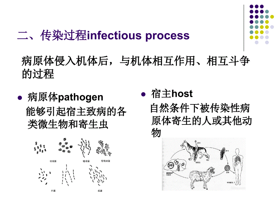 传染病流行病学医检PPT课件_第4页